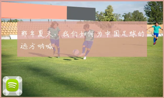 那年夏天，我们如何为中国足球的远方呐喊