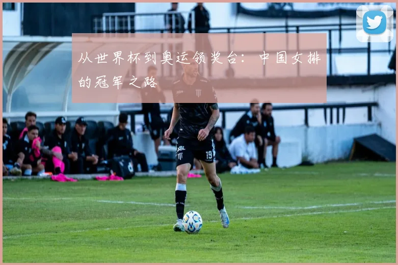 从世界杯到奥运领奖台：中国女排的冠军之路