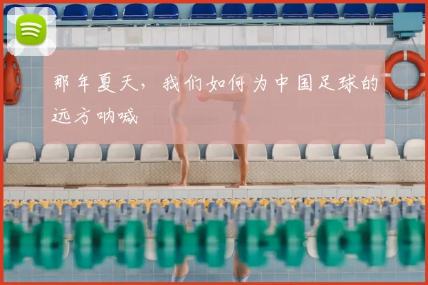 那年夏天，我们如何为中国足球的远方呐喊