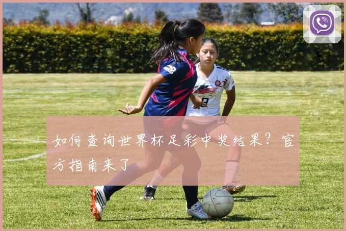 如何查询世界杯足彩中奖结果？官方指南来了