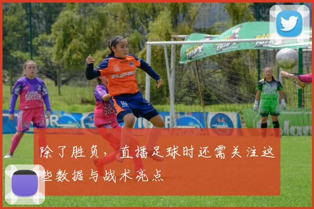 除了胜负，直播足球时还需关注这些数据与战术亮点
